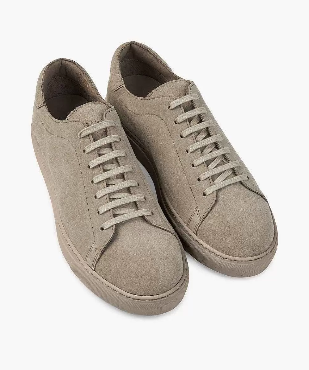 Store Suede Sneakers Shoes